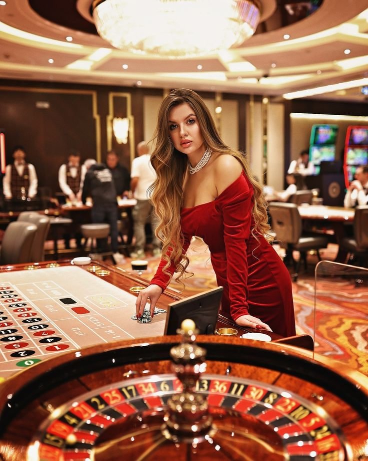 2233 bet